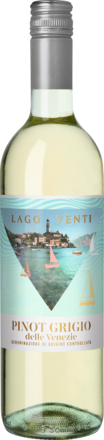 2022 Lago Venti Pinot Grigio Special Edition delle Venezie DOC