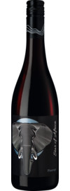 2021 Star of Africa Pinotage WO Western Cape