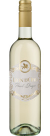 2023 Leon d'Oro Pinot Grigio Delle Venezie DOC